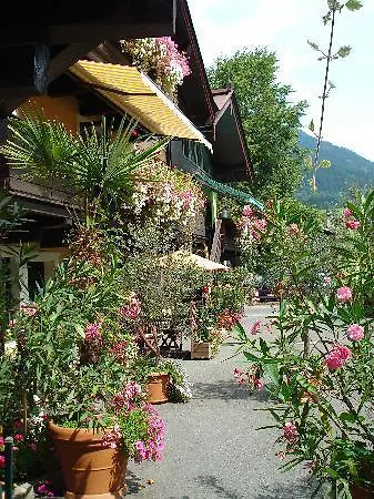 Strasshofer Kitzbühel